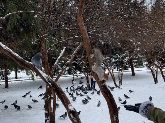 Panfilov Park Almaty