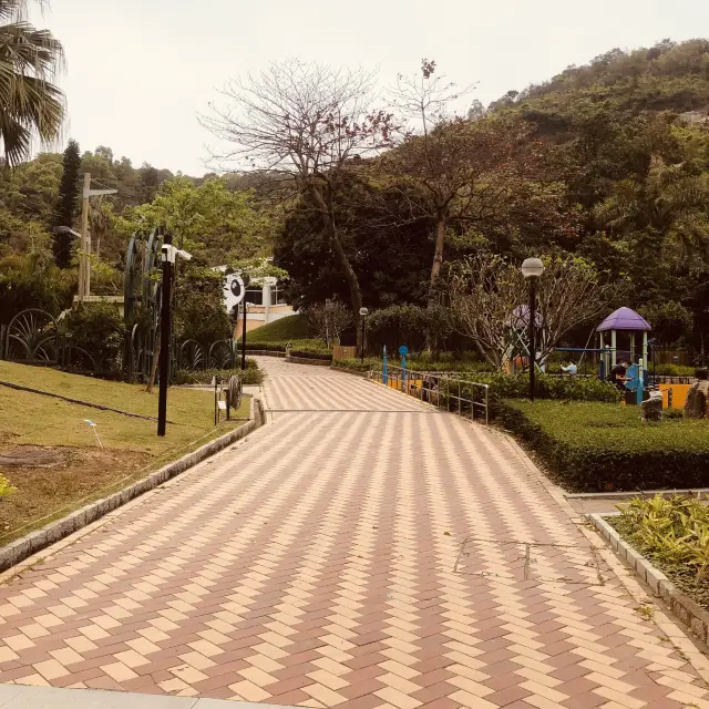 Giant Pandas At Macau's Seac Pai Van Park