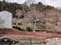 Uniqueness of Katsuoji Temple