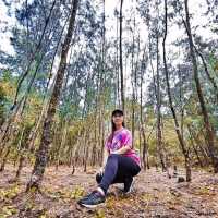 Mayon Black Lava Zipline Adventure