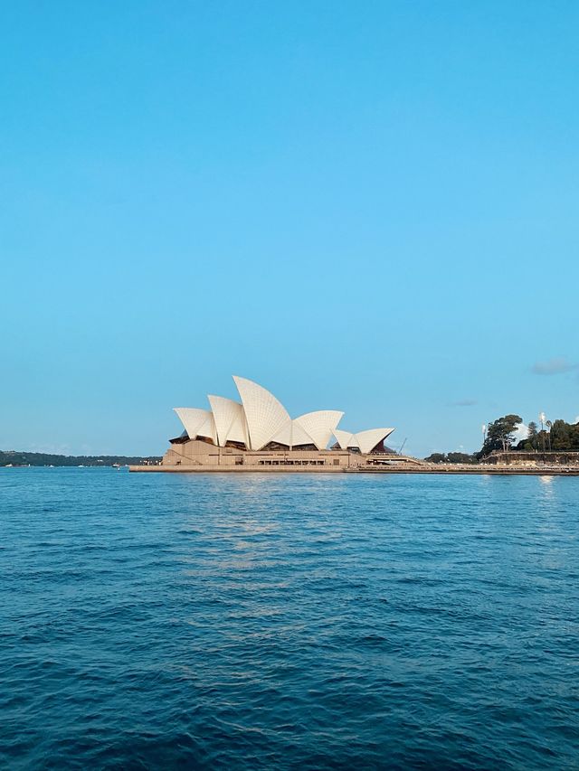 Best place to view Sydney Opera House! 🌅