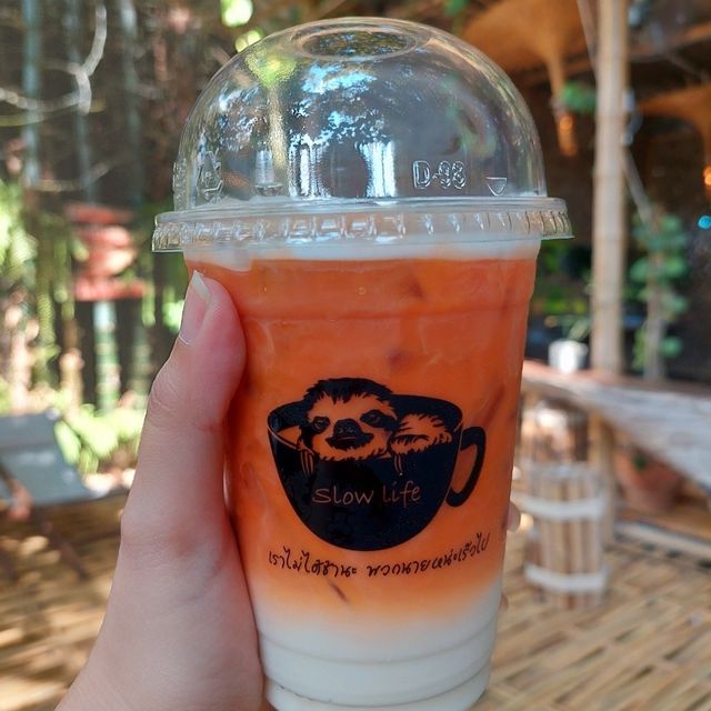 Get some drink in the forest, Suan Phueng 🥤🇹🇭