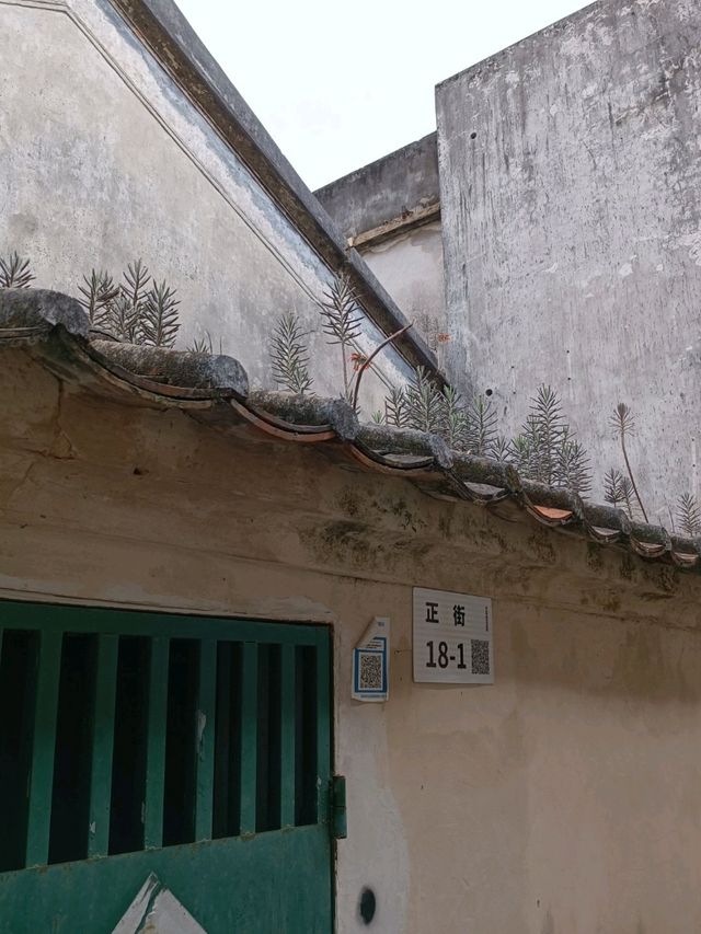 深圳大鵬所城(大鵬古城)