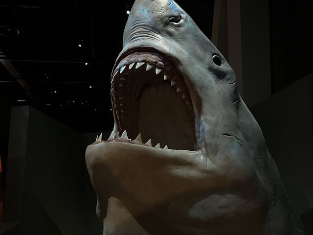 My Ancestors' 🤩🥰 Museum of my vibe🫢😝
