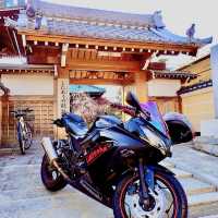 光受寺