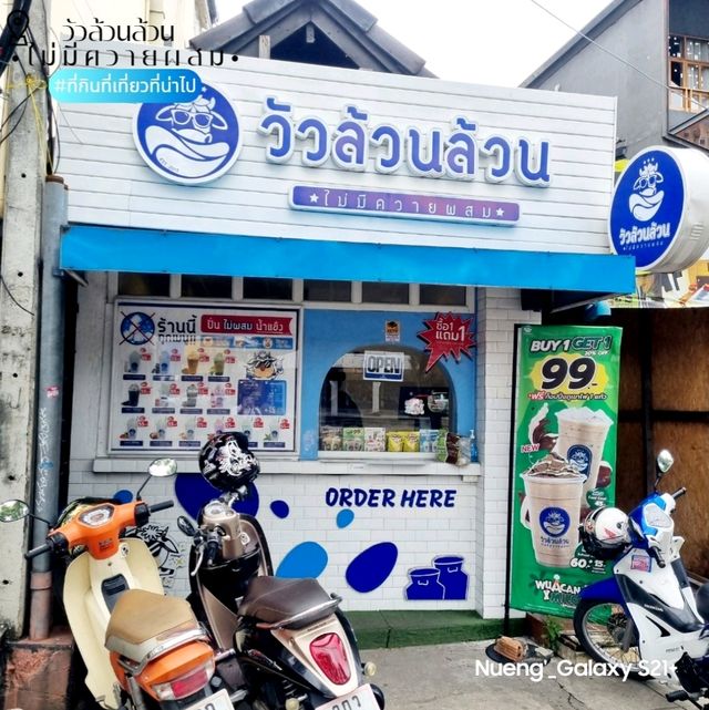 วัวล้วนล้วน[ไม่มีควายผสม]คาเฟ่นมท่าแพ - เชียงใหม่