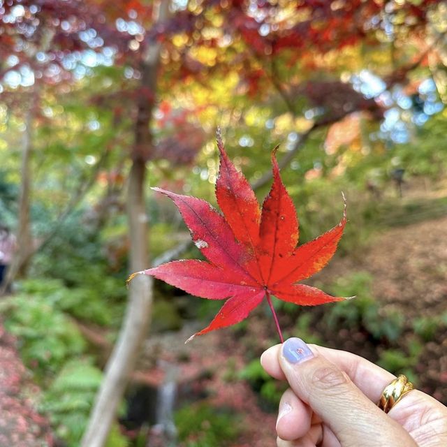 📍三溪園/横浜