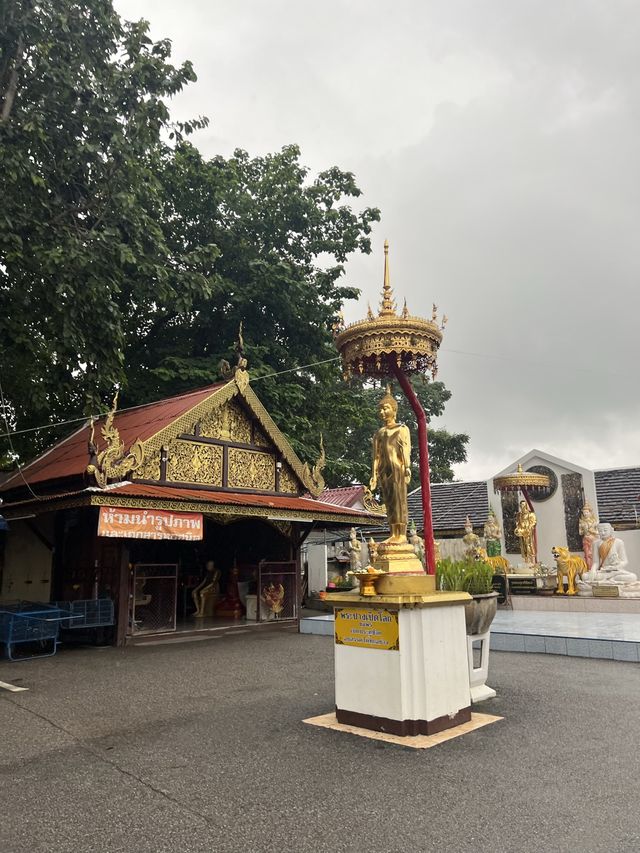สายมูห้ามพลาดไหว้พระ วัดพระธาตุดอยคำ เชียงใหม่