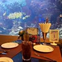 พากิน Copper Aquarium Restuarant