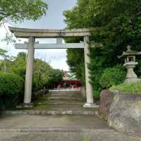 愛知旅行！名古屋「豊藤稲荷神社」「御神木 藤龍」