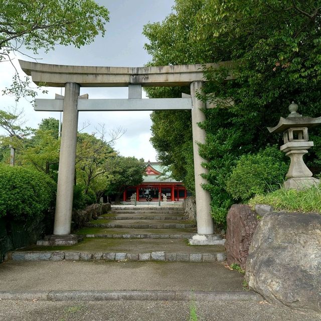 愛知旅行！名古屋「豊藤稲荷神社」「御神木 藤龍」