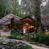สวยเหมือนเทพนิยาย | ที่พักเปิดใหม่เชียงใหม่ 🌱