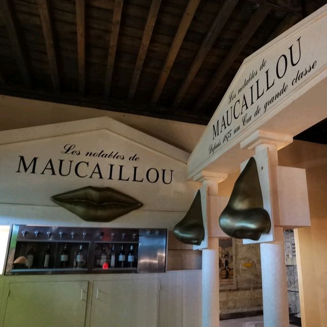 Chateau Maucaillou 葡萄園及釀酒廠
