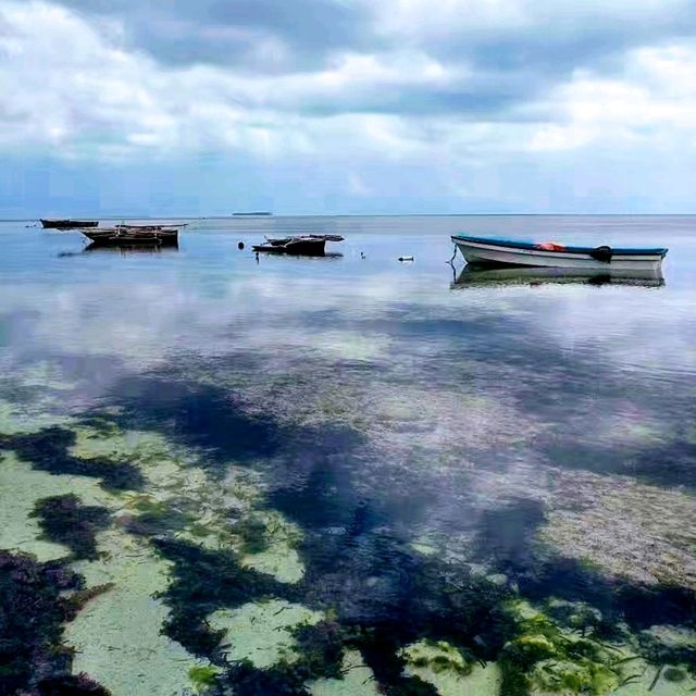 桑吉巴(Zanzibar)，【坦尚尼亞旅遊】Travel in Tanzania
