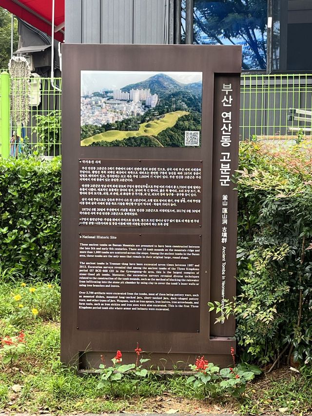 부산 산책하기 좋은 공원