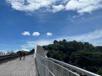 Henderson Waves