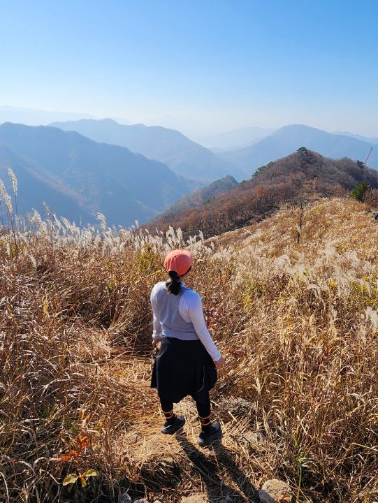 [경기도] 포천 억새밭이 가득한 명성산🏔️