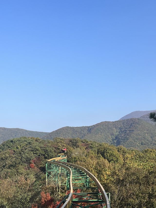 광주 숨은 국내여행지