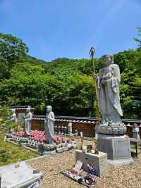 멋진 풍경의 보성 대원사에서 힐링🌳🌳