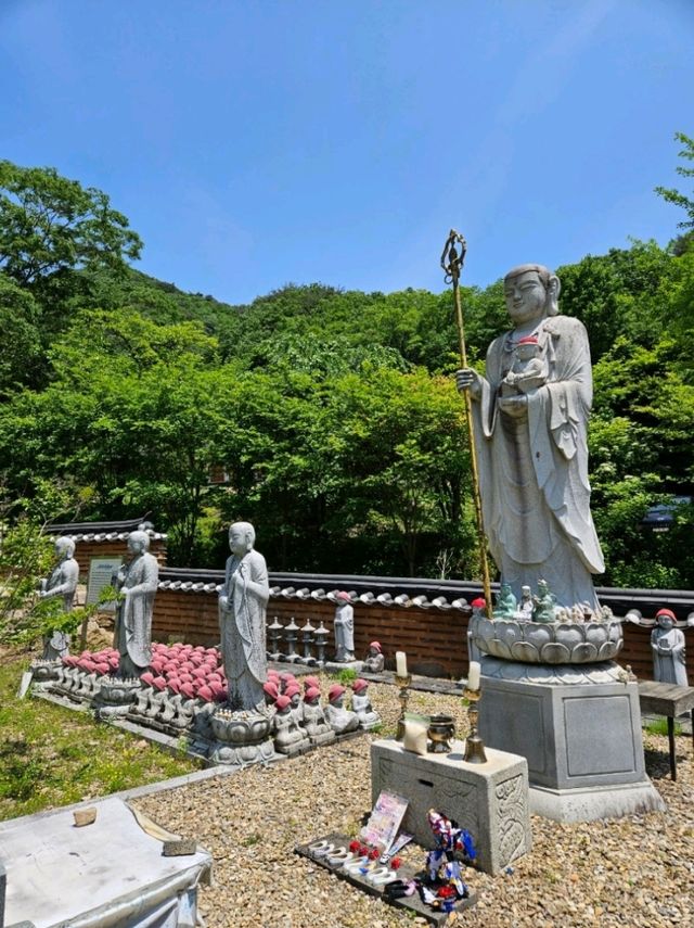 멋진 풍경의 보성 대원사에서 힐링🌳🌳