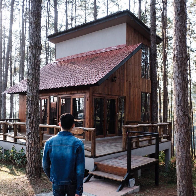 สวนป่าดอยบ่อหลวง จ.เชียงใหม่ 🌲