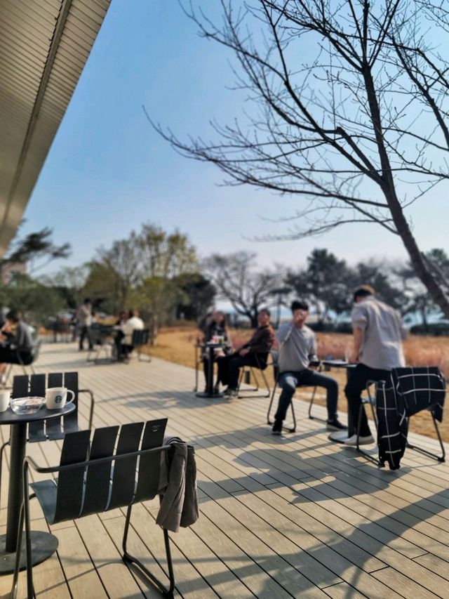 왕크니까 왕귀여운 베어리가 있는 부산 스타벅스💚