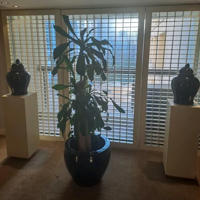澳門麗景灣藝術酒店住宿體驗及感受