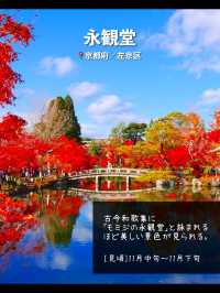 【京都】日本屈指の紅葉スポット！絶景7選