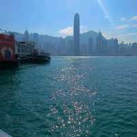 兔飛猛進！祥兔獻瑞！香港尖沙咀，海港城！