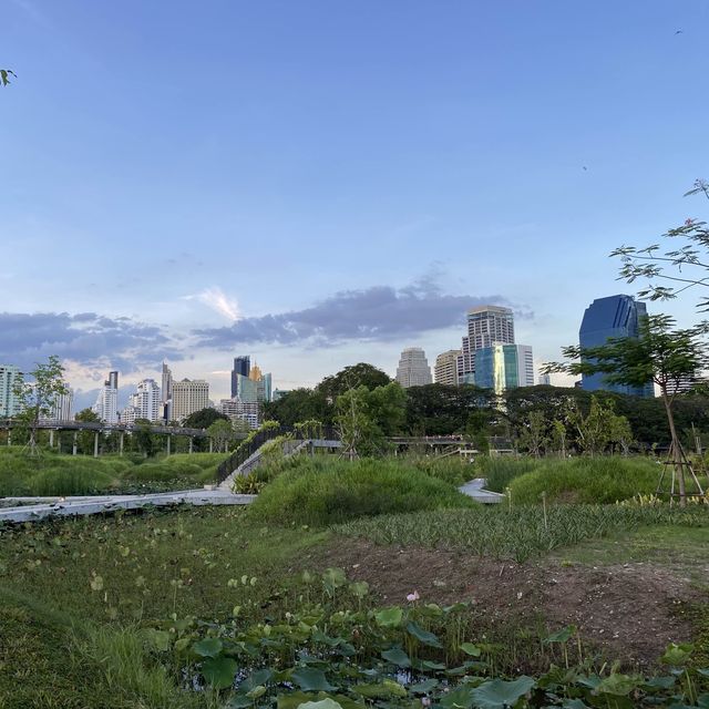 ไปออกกำลังกันที่สวนเบญจกิติ เดินทางสะดวกด้วย MRT