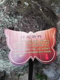 深山老林寺廟