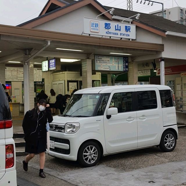 奈良隱藏景點，郡山金魚之都