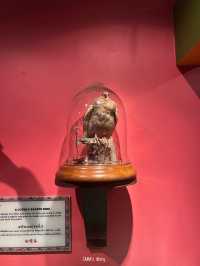ชมพิพิธภัณฑ์สุดน่าทึ่ง ที่ Ribley’s museum ✨