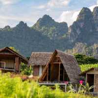 ไร่ภูผาหมวก