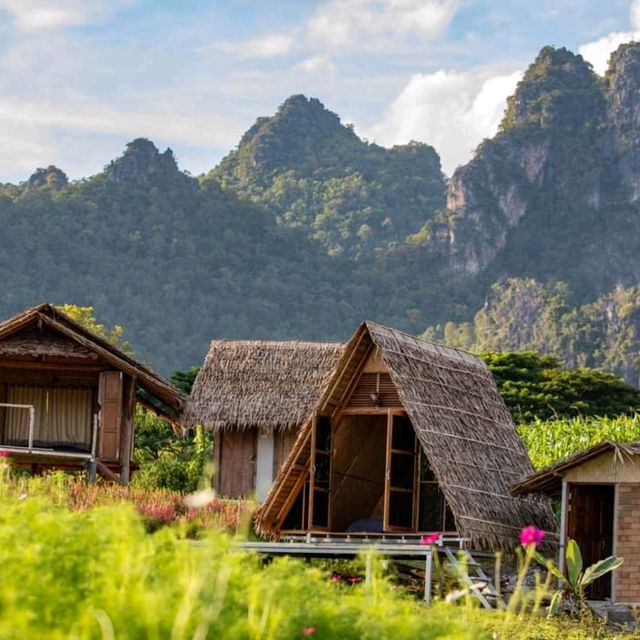 ไร่ภูผาหมวก ไร่ภูผาหมวก