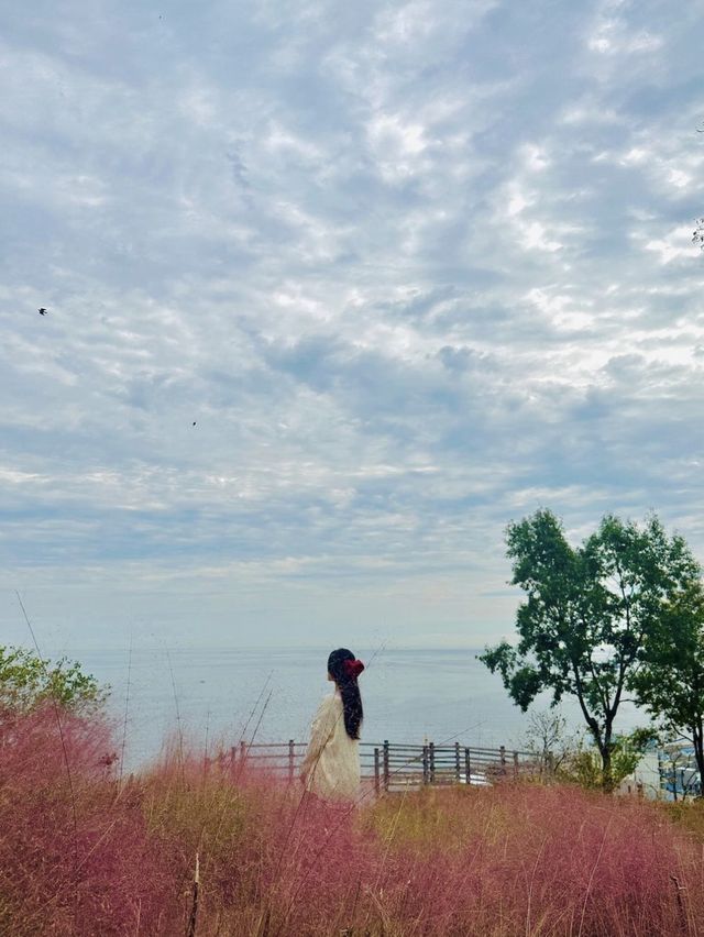 이대로만 따라가도 삼척 여행 성공, 삼척여행코스 모음 Zip✨