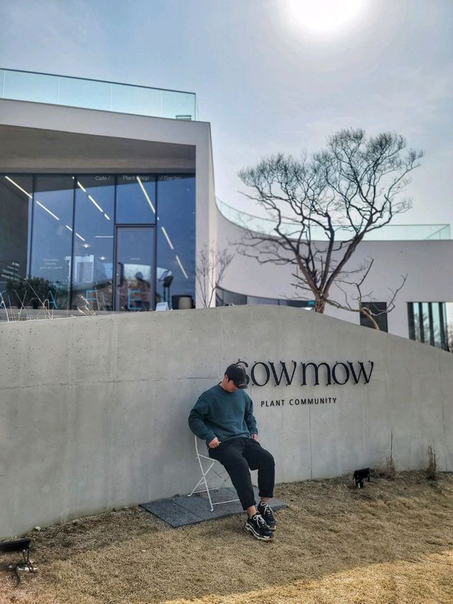 식물복합공간 청도 신상카페 소우모우🌳
