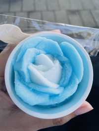 【ひたち海浜公園/ネモフィラ,菜の花,チューリップ】