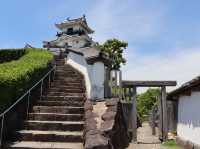 【静岡県】東海の名城！掛川城をご紹介
