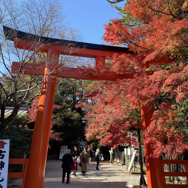 走訪世界文化遺產的「下鴨神社」