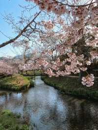 Oshino Hakkai Village