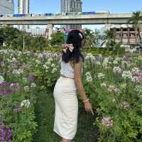 ถ่ายรูปดอกไม้ ที่สวนรถไฟ