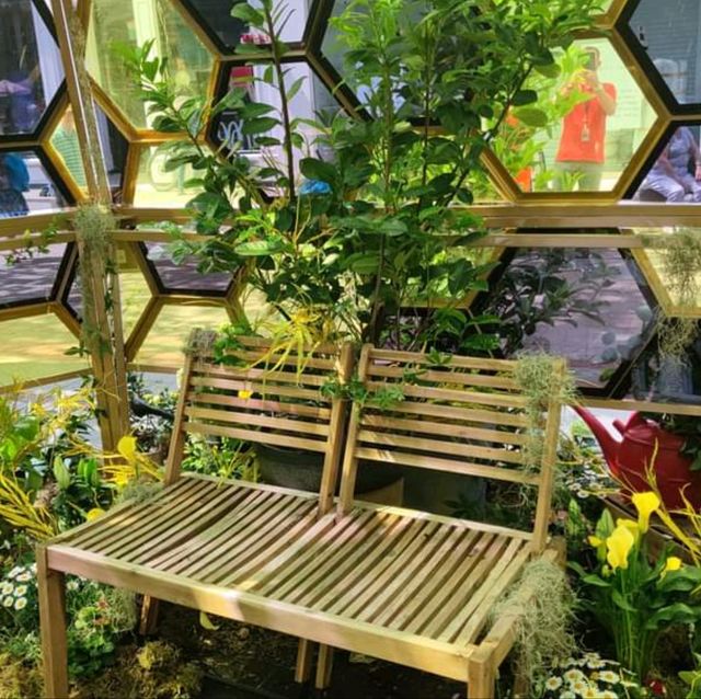曼徹斯特花市