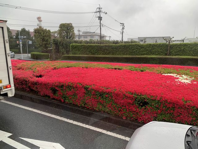 熊本　熊本観光　阿蘇くまもと空港からは空港リムジンバスが便利！