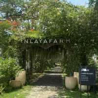Kratom Intha Farm cafe by Inlaya