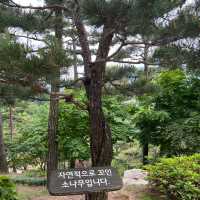 초록 초록 서울근교 힐링공간💚 화담숲🌿