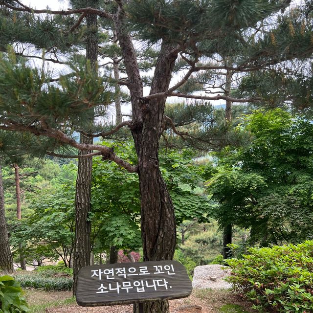 초록 초록 서울근교 힐링공간💚 화담숲🌿