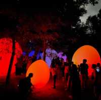【大阪 長居公園】幻想世界 ボタニカルガーデン