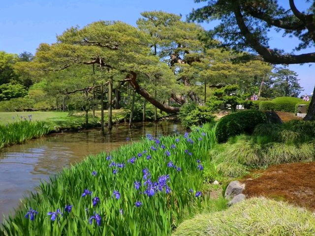 【金沢城下町（①前田氏の武家文化）】（石川県金沢市　旧国名：加賀）