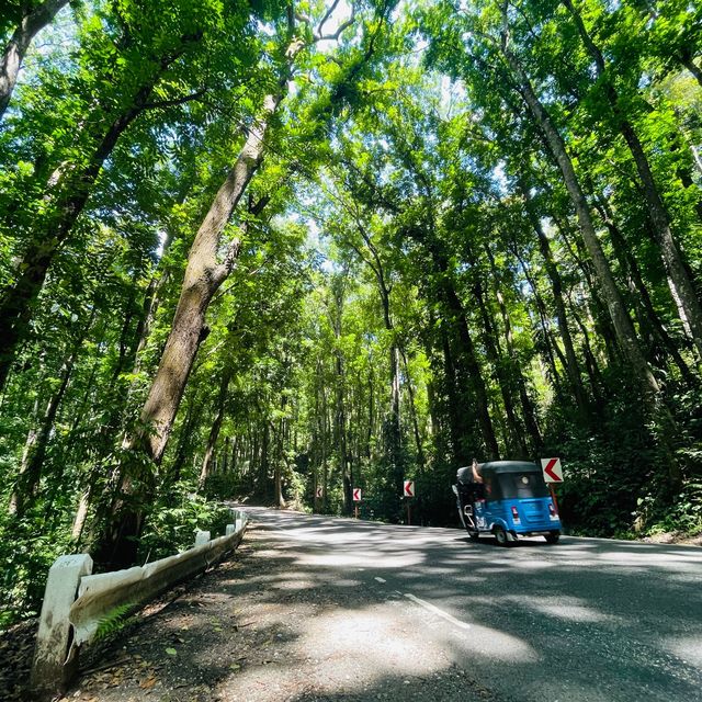 Countryside Tour - Bohol Philippines 